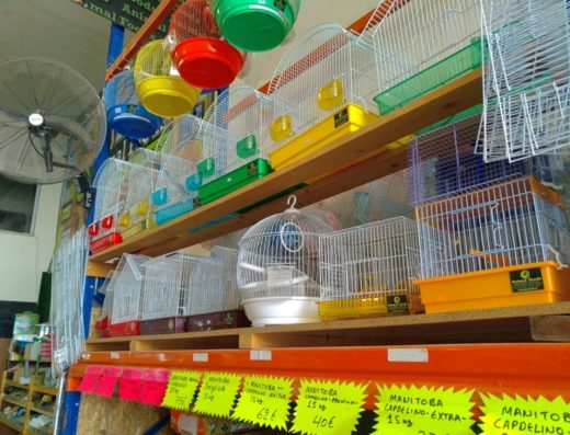 ΕΙΔΗ PET SHOP ΚΑΛΟΧΩΡΙ ΘΕΣΣΑΛΟΝΙΚΗΣ | ANIMAL FOODS