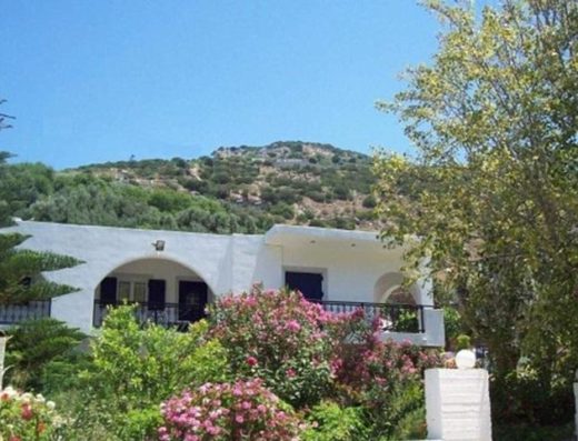 ΕΝΟΙΚΙΑΖΟΜΕΝΑ ΔΙΑΜΕΡΙΣΜΑΤΑ | ΦΟΥΡΝΟΙ ΙΚΑΡΙΑΣ ΣΑΜΟΣ | GEORGIA STUDIOS