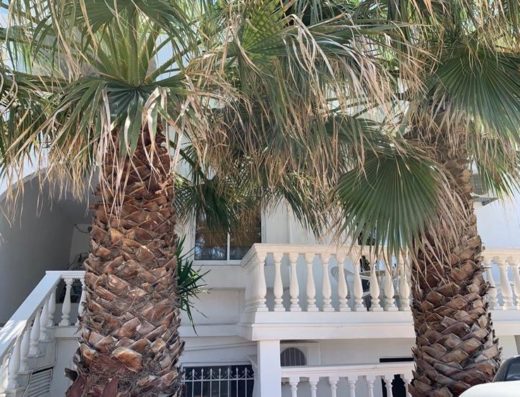 ΕΝΟΙΚΙΑΖΟΜΕΝΑ ΔΩΜΑΤΙΑ | ΑΔΑΜΑΝΤΑΣ ΜΗΛΟΣ | ΚΩΝ/ΝΟΣ & ΕΛΕΝΗ ΚΥΡΙΤΣΗ