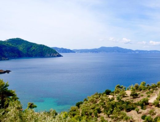 ΓΡΑΦΕΙΟ ΤΟΥΡΙΣΜΟΥ ΑΛΟΝΝΗΣΟΣ ΠΑΤΗΤΗΡΙ | ALONNISOS TRAVEL