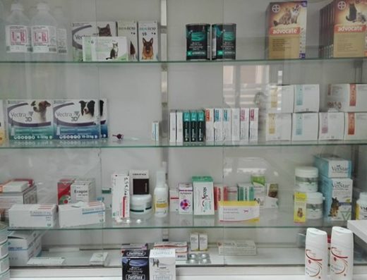 ΚΤΗΝΙΑΤΡΟΣ ΚΑΛΛΙΘΕΑ ΑΤΤΙΚΗΣ | ΙΑΤΡΕΙΟ ΜΙΚΡΩΝ ΖΩΩΝ ΙΩΑΝΝΗΣ ΚΑΜΠΟΥΡΗΣ