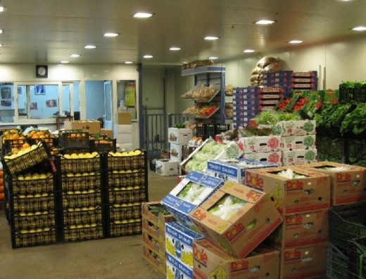 ΟΠΩΡΟΚΗΠΕΥΤΙΚΑ ΑΓΙΟΣ ΙΩΑΝΝΗΣ ΡΕΝΤΗΣ | ΠΡΩΤΟΨΑΛΤΗΣ ΘΕΟΔΩΡΟΣ