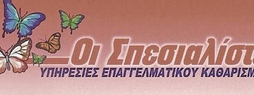 ΣΥΝΕΡΓΕΙΟ ΚΑΘΑΡΙΣΜΟΥ ΛΕΥΚΑΔΑ | ΟΙ ΣΠΕΣΙΑΛΙΣΤΕΣ