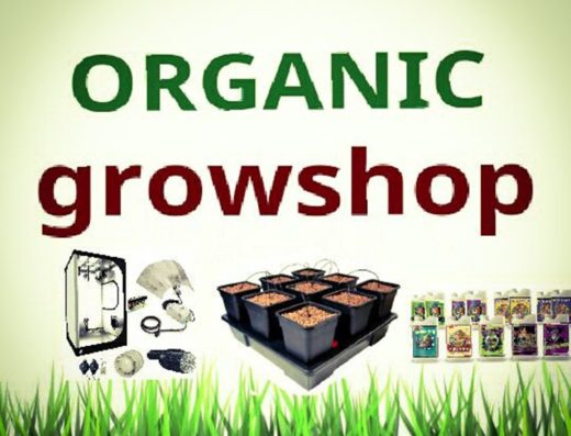 ΑΝΘΟΚΟΜΙΚΑ ΔΕΝΔΡΟΚΟΜΙΚΑ ΘΕΣΣΑΛΟΝΙΚΗ | ORGANIC GROWSHOP