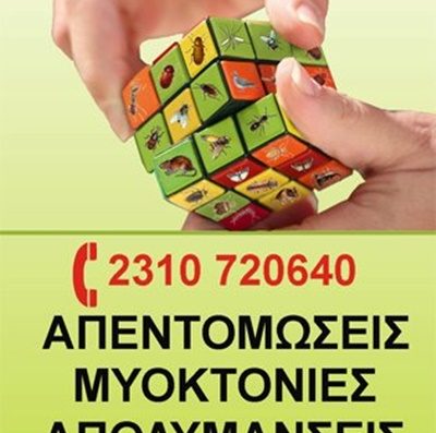 ΑΠΟΛΥΜΑΝΣΕΙΣ ΑΠΕΝΤΟΜΩΣΕΙΣ ΘΕΣΣΑΛΟΝΙΚΗ | ΑΠΟΛΥΜΑΝΣΕΙΣ SOLUTIONS