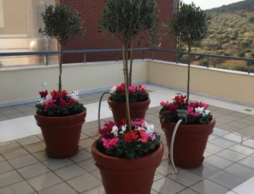 ΚΑΤΑΣΚΕΥΗ ΣΥΝΤΗΡΗΣΗ ΚΗΠΩΝ ΜΑΡΟΥΣΙ | GN GARDEN