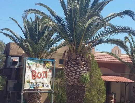 ΚΑΦΕΤΕΡΙΑ ΛΙΒΑΔΙΑ ΤΗΛΟΣ | BOZI