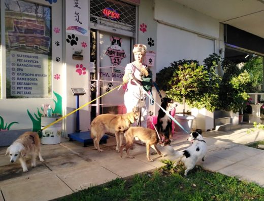 ΚΟΜΜΩΤΗΡΙΟ ΜΙΚΡΩΝ ΖΩΩΝ ΠΑΛΑΙΟ ΦΑΛΗΡΟ | PUPPY ROUTE 23
