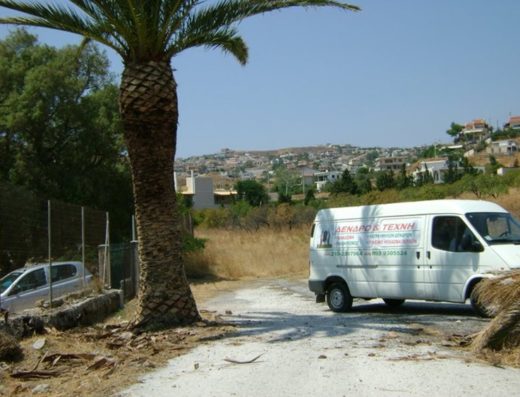 ΚΟΠΗ ΔΕΝΔΡΩΝ ΚΑΘΑΡΙΣΜΟΣ ΟΙΚΟΠΕΔΩΝ ΚΑΜΑΤΕΡΟ | ΔΕΝΔΡΟ ΚΑΙ ΤΕΧΝΗ