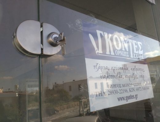 ΤΖΑΜΙΑ ΚΟΡΝΙΖΕΣ ΕΙΔΗ ΣΚΙΑΣΗΣ ΗΡΑΚΛΕΙΟ | ΓΚΟΝΤΕΣ