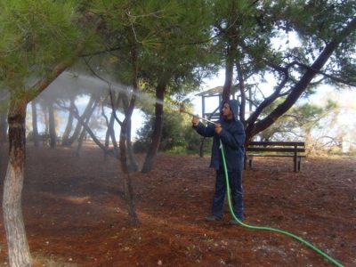 ΚΟΠΗ ΔΕΝΔΡΩΝ ΚΑΘΑΡΙΣΜΟΣ ΟΙΚΟΠΕΔΩΝ ΚΑΜΑΤΕΡΟ | ΔΕΝΔΡΟ ΚΑΙ ΤΕΧΝΗ --- gbd.gr