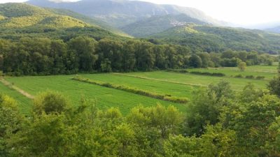 ΕΝΟΙΚΙΑΖΟΜΕΝΑ ΔΩΜΑΤΙΑ-ΕΣΤΙΑΤΟΡΙΟ ΚΟΝΙΤΣΑ ΜΕΛΙΣΣΟΠΕΤΡΑ | VILLA REA - GBD.GR