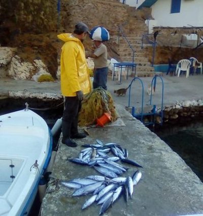 Restaurant | Kalymnos Dodecanese | Ilias - gbd.gr