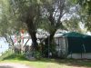 ΚΑΜΠΙΝΓΚ CAMPING | ΠΑΛΟΥΚΙ ΑΜΑΛΙΑΔΑ ΗΛΕΙΑ | CAMPING PARADISE - gbd.gr