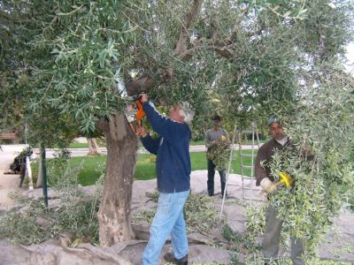 ΜΟΝΑΔΑ ΦΡΟΝΤΙΔΑΣ ΗΛΙΚΙΩΜΕΝΩΝ ΠΑΙΑΝΙΑ | ΣΤΕΓΗ ΑΓΑΠΗΣ Ο ΕΥΑΓΓΕΛΙΣΤΗΣ ΙΩΑΝΝΗΣ --- gbd.gr