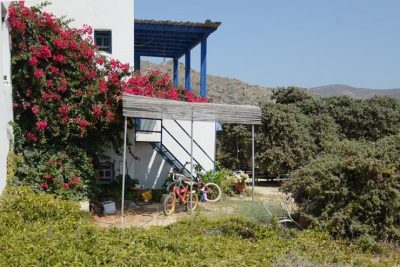 Apartments for Rent | Mikri Vigla Naxos Cyclades | Isalos Studios - gbd.gr