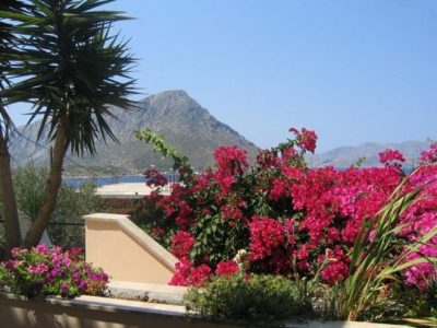 Rooms to Let | Myrties Kalymnos | Niki & Maria Studios