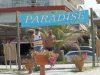 BEACH BAR ΘΑΛΑΣΣΙΑ ΣΠΟΡ ΠΛΑΤΑΜΩΝΑΣ ΝΕΟΙ ΠΟΡΟΙ | PARADISE BEACH BAR ΑΛΕΞΑΝΔΡΗΣ --- gbd.gr