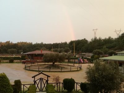 ΙΠΠΙΚΟΣ ΟΜΙΛΟΣ ΡΟΔΟΣ | ΙΠΠΙΚΟΣ ΟΜΙΛΟΣ ΡΟΔΟΥ Ο ΚΑΔΜΟΣ - gbd.gr