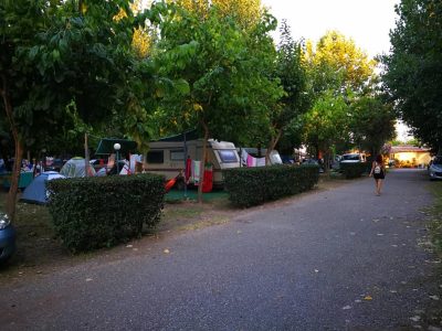 ΚΑΜΠΙΝΓΚ CAMPING | ΠΑΛΟΥΚΙ ΑΜΑΛΙΑΔΑ ΗΛΕΙΑ | CAMPING PARADISE - gbd.gr