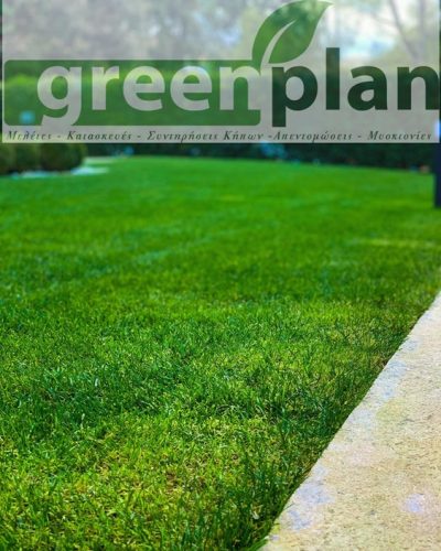 ΚΑΤΑΣΚΕΥΗ-ΣΥΝΤΗΡΗΣΗ ΚΗΠΩΝ ΠΕΤΡΟΥΠΟΛΗ | GREENPLAN