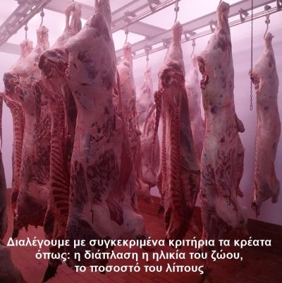 ΚΡΕΟΠΩΛΕΙΟ-ΨΗΤΟΠΩΛΕΙΟ ΚΑΛΑΜΑΤΑ | THE MEAT SHOP - GBD.GR