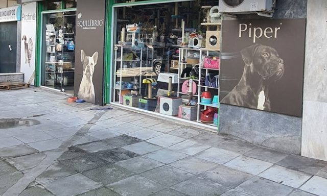 PET SHOP ΝΕΟ ΗΡΑΚΛΕΙΟ | ΤΡΟΠΙΚΟΣ