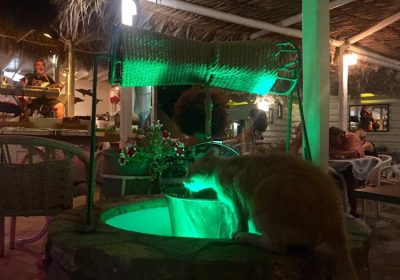 ΕΣΤΙΑΤΟΡΙΟ BEACH BAR ΚΑΜΑΡΙ ΣΑΝΤΟΡΙΝΗ | DOLPHINS BEACH BAR RESTAURANT --- gbd.gr