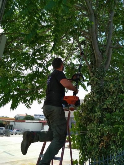 ΚΑΤΑΣΚΕΥΗ ΣΥΝΤΗΡΗΣΗ ΚΗΠΩΝ ΜΑΡΟΥΣΙ | GN GARDEN - gbd.gr