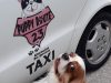 ΚΟΜΜΩΤΗΡΙΟ ΜΙΚΡΩΝ ΖΩΩΝ ΠΑΛΑΙΟ ΦΑΛΗΡΟ | PUPPY ROUTE 23 --- gbd.gr