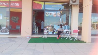 ΚΤΗΝΙΑΤΡΙΚΗ ΚΛΙΝΙΚΗ ΧΑΛΚΙΔΙΚΗ | PET FAMILY --- gbd.gr