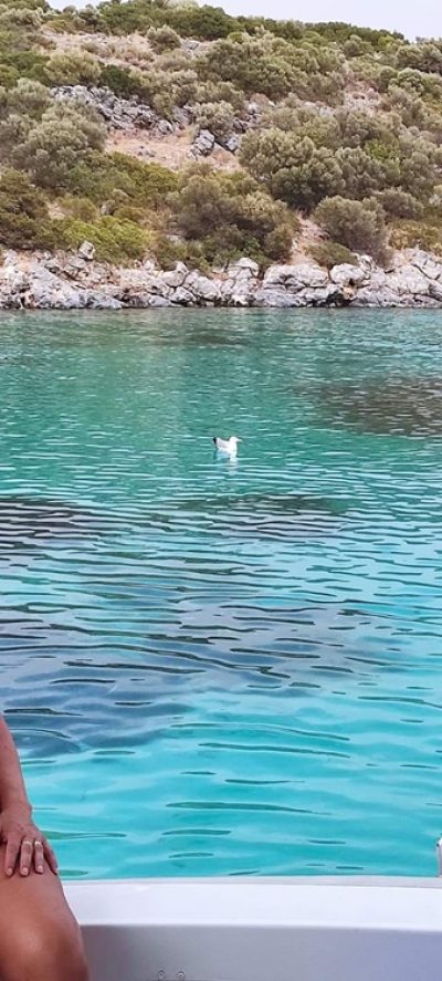 ΤΑΞΙ ΣΑΜΟΣ | ΜΑΡΚΟΥ ΜΙΛΤΙΑΔΗΣ --- gbd.gr