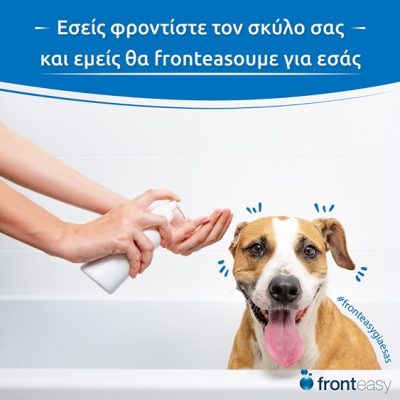 ΔΙΑΧΕΙΡΙΣΗ ΚΤΙΡΙΩΝ ΘΕΣΣΑΛΟΝΙΚΗ | FRONTEASY - gbd.gr