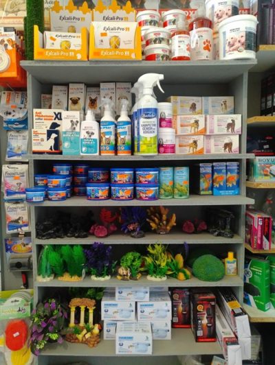 ΕΙΔΗ PET SHOP ΚΑΛΟΧΩΡΙ ΘΕΣΣΑΛΟΝΙΚΗΣ | ANIMAL FOODS - gbd.gr