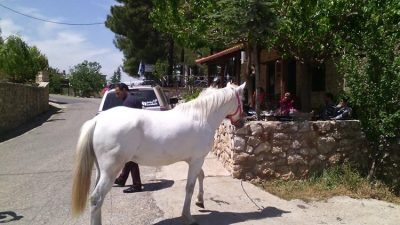 Guest House | Agios Ioannis Arcadia | Abelos Villas - gbd.gr