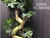 ΑΝΘΟΠΩΛΕΙΟ ΠΕΙΡΑΙΑΣ | EDEN FLOWERS EVENTS --- gbd.gr