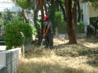 ΚΟΠΗ ΔΕΝΔΡΩΝ ΚΑΘΑΡΙΣΜΟΣ ΟΙΚΟΠΕΔΩΝ ΚΑΜΑΤΕΡΟ | ΔΕΝΔΡΟ ΚΑΙ ΤΕΧΝΗ --- gbd.gr