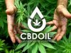 ΠΡΟΪΟΝΤΑ ΚΑΝΝΑΒΗΣ ΝΕΟΣ ΚΟΣΜΟΣ | CBD OIL SHOP --- gbd.gr